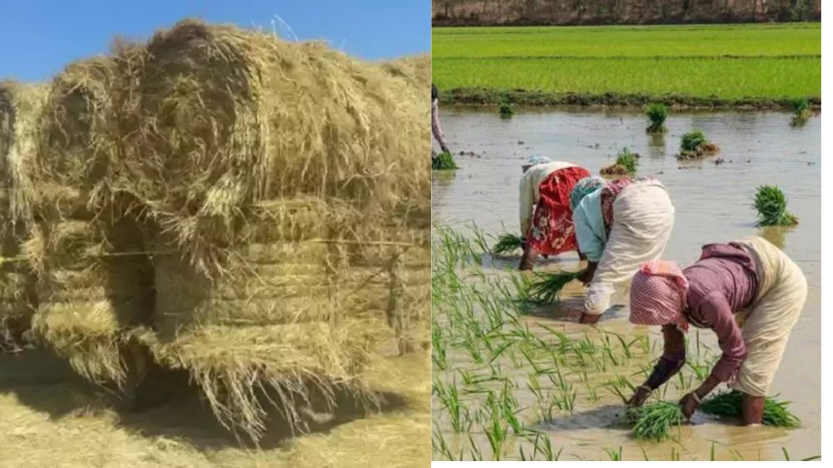 किसानों ने कहा कि पोर्टल पर पंजीकृत किसानों को 172 खरीद केंद्रों पर नहीं आना चाहिए