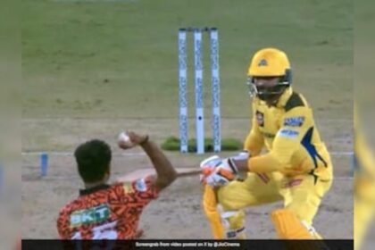 CSK vs SRH: No player becomes great just like that, one has to respect the game and the players associated with the game.