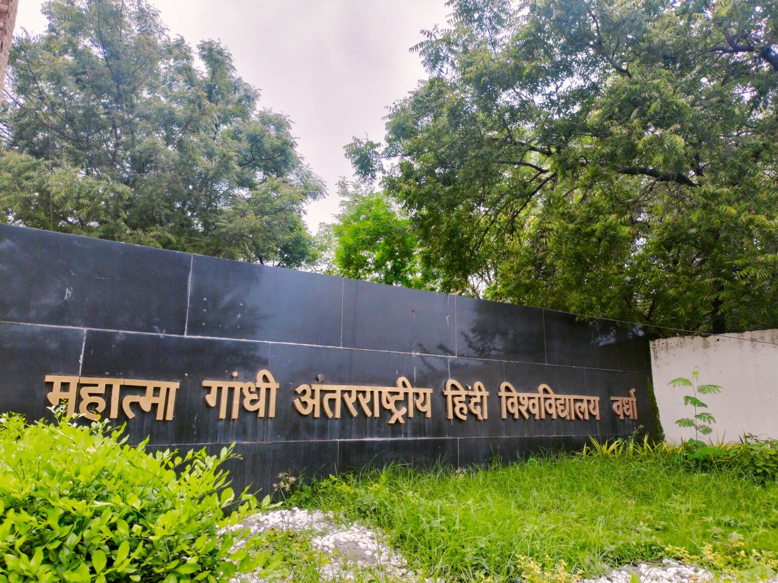 रचनात्मकता के शिखर छू रहा हिंदी विश्वविद्यालय